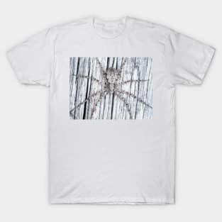 Philodromidae - running crab spider T-Shirt